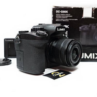 Lumix G95