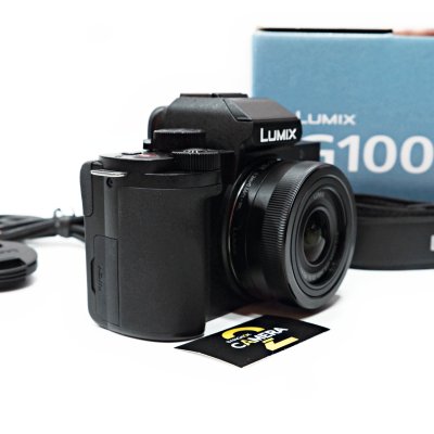 LUMIX G100