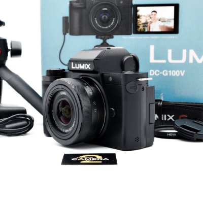 Lumix G100V