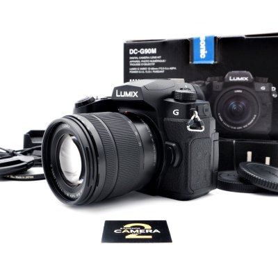 Lumix G90