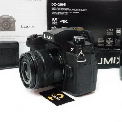 Lumix G90
