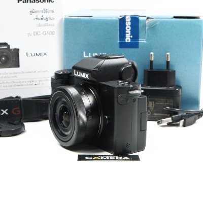 Lumix G100