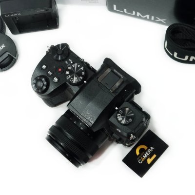 Lumix G90