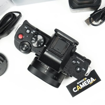 Lumix G100