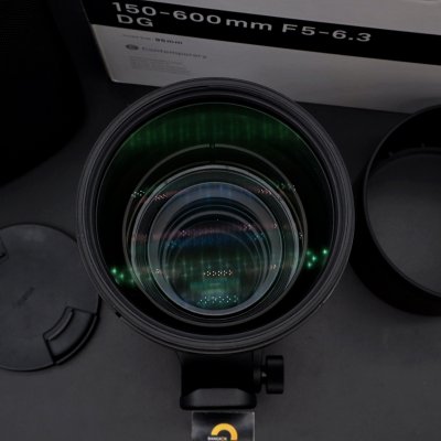 Sigma 150-600mm F5-6.3 DG
