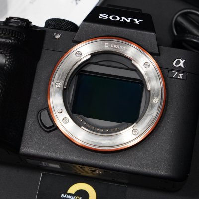 Sony A7III body