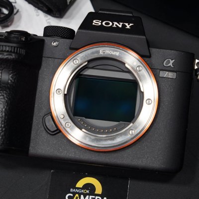 Sony A7III body