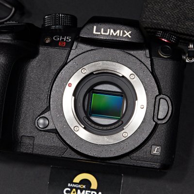 Lumix GH5s body
