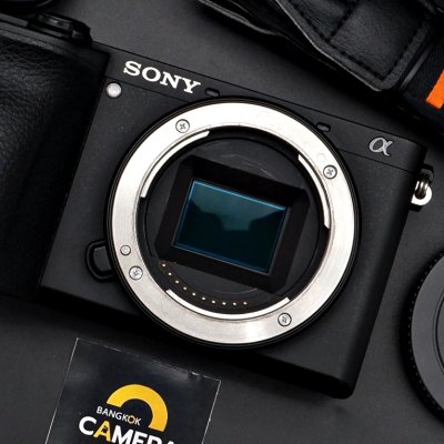 Sony A6600 Body