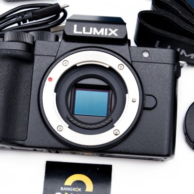 Lumix G100