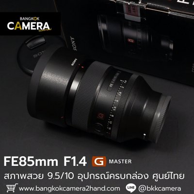FE85mm F1.4 GM