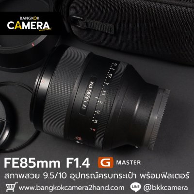 FE85mm F1.4 GM