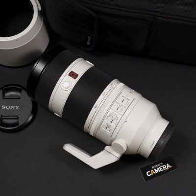 FE100-400mm GM