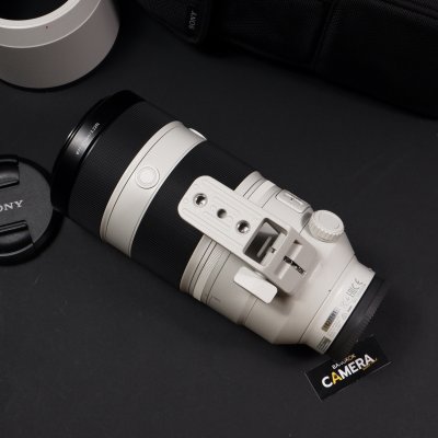 FE100-400mm GM
