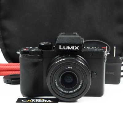 Lumix G100