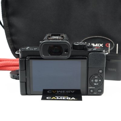 Lumix G100