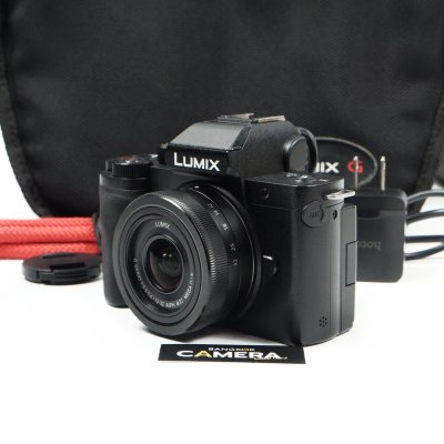 Lumix G100