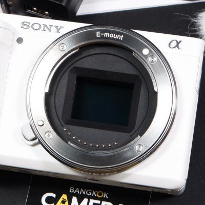 Sony ZVE10