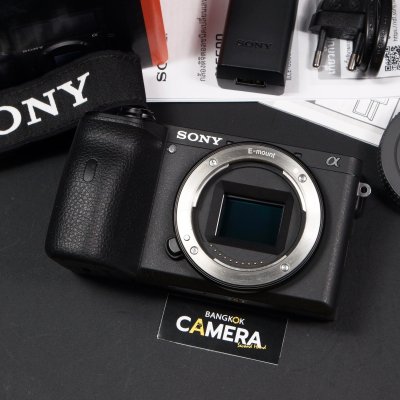 Sony A6600 Body
