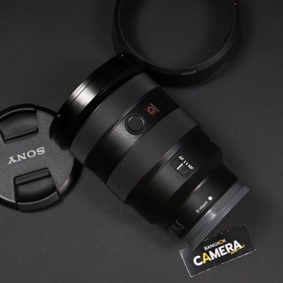 FE16-35mm F2.8 GM