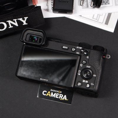 Sony A6600 Body