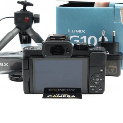 Lumix G100
