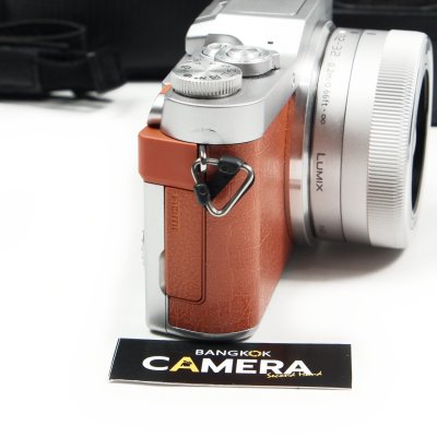Lumix GF9
