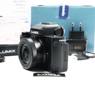 Lumix G100