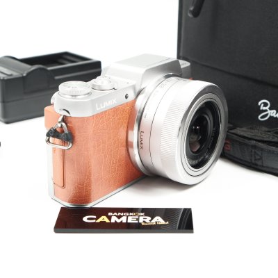 Lumix GF8