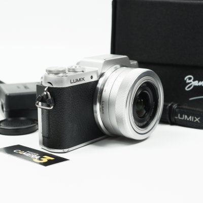 Lumix GF8