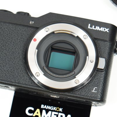 Lumix GF9
