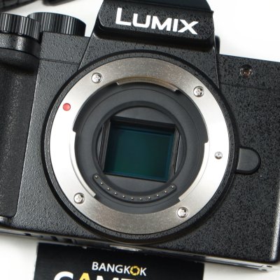 Lumix G100