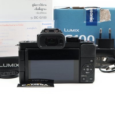Lumix G100