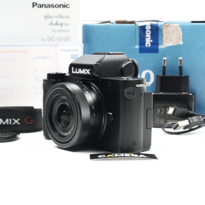 Lumix G100
