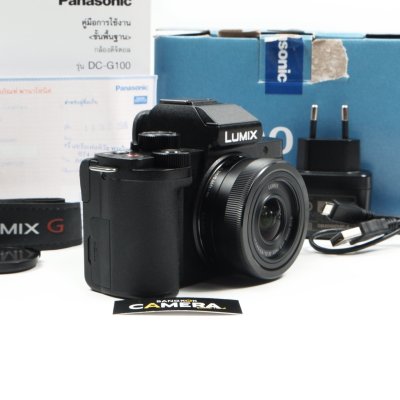Lumix G100