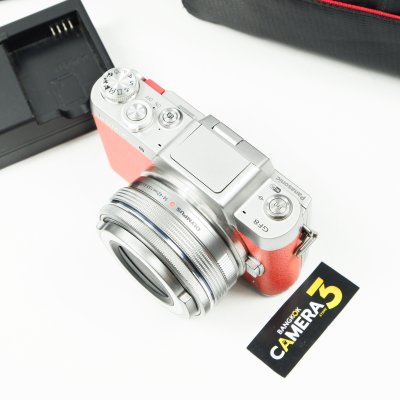 Lumix GF8