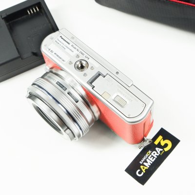 Lumix GF8