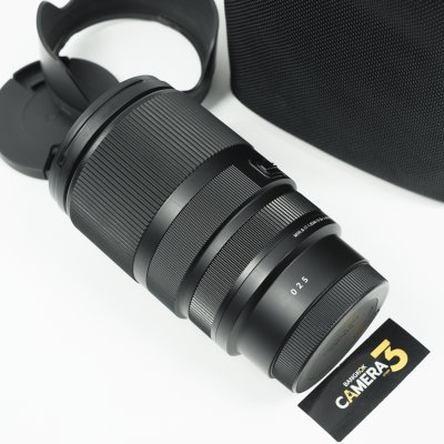 Sigma 16-300mm F3.5-6.7 DC