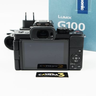 Lumix G100