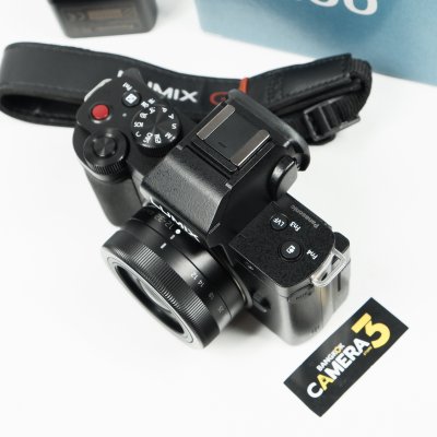 Lumix G100