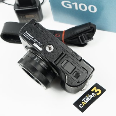 Lumix G100