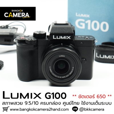 Lumix G100