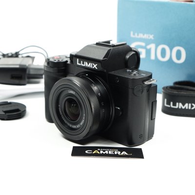 Lumix G100
