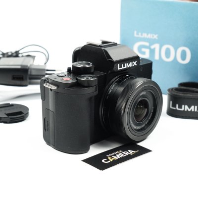 Lumix G100