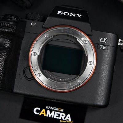Sony A7III Body