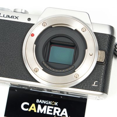 Lumix GF8