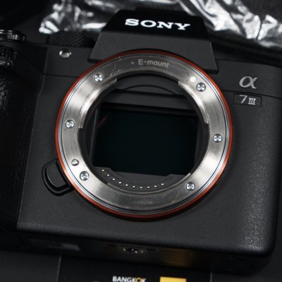 Sony A7III Body