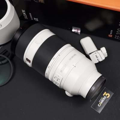 FE100-400mm F4.5-5.6 GM OSS