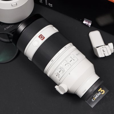 FE100-400mm F4.5-5.6 GM OSS