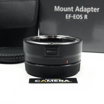 Adapter EF-EOS R